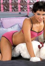 Stuffed animal lover masturbates